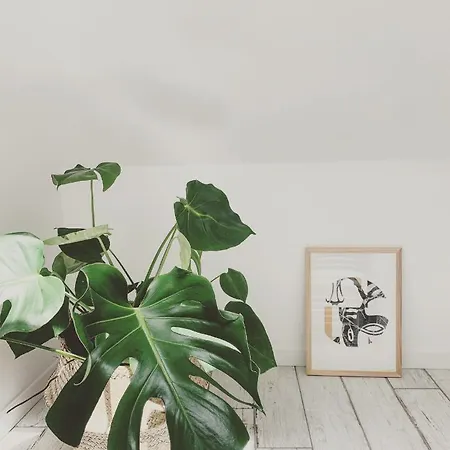 Les Rotins - Climatises - Cathedrale A 2 Pas דירה