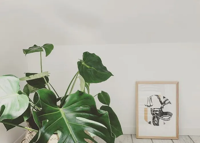 Les Rotins - Climatises - Cathedrale A 2 Pas Apartment